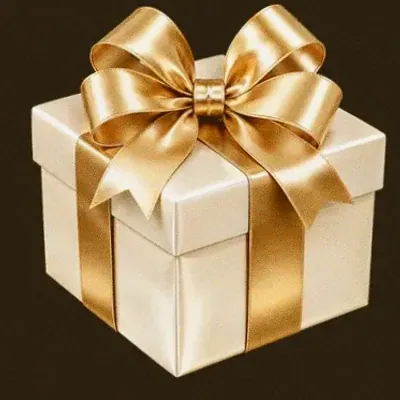 Ribboned gift box — Winshark