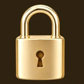 Metal padlock — Winshark