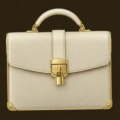 Locked leather briefcase — Winshark