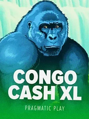 Congo Cash XL at Winshark
